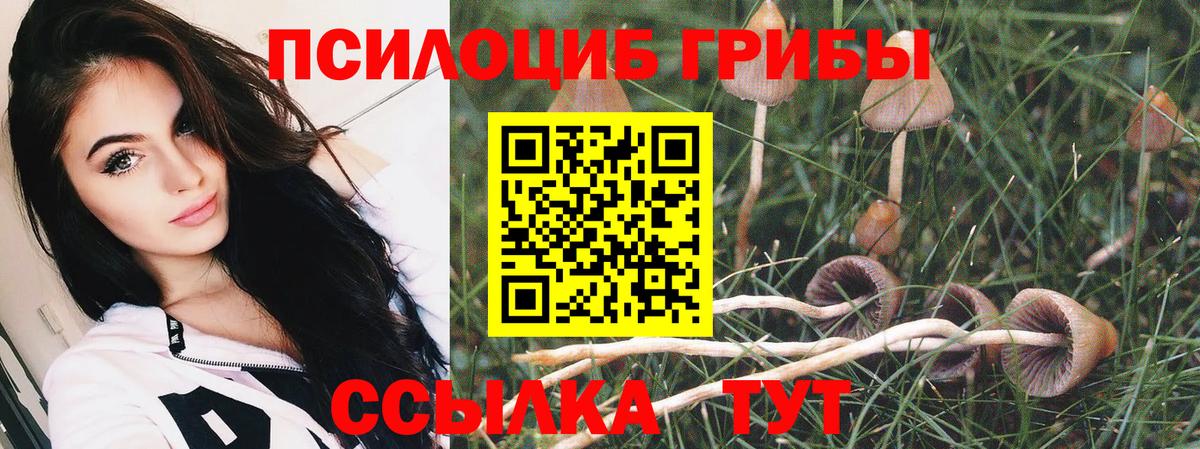 Удомля  Псилоцибиновые грибы Psilocybine cubensis  Вход с VPN 